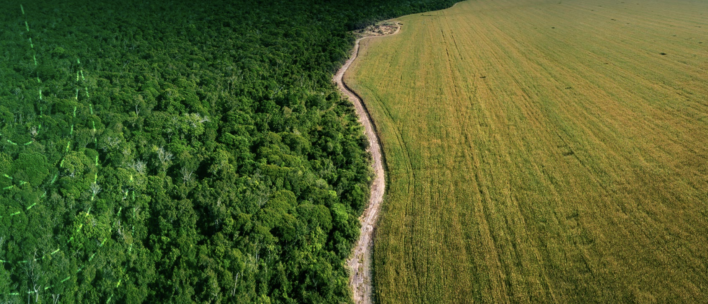 Desafios e oportunidade – Compensação da Reserva Legal à Luz da Lei Estadual 20.922/2013